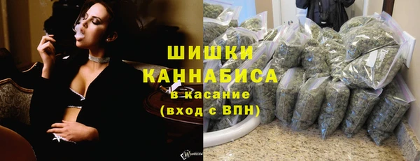 спайс Богданович