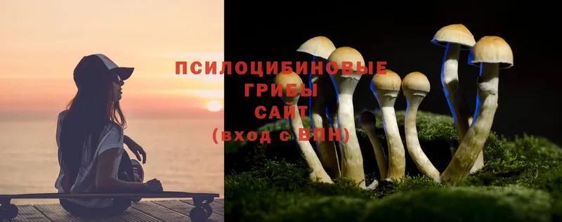 Псилоцибиновые грибы Magic Shrooms  Георгиевск 